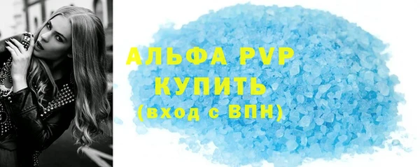 стаф Каменка