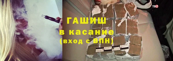 стаф Каменка