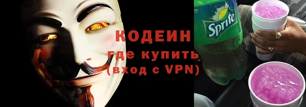 стаф Каменка
