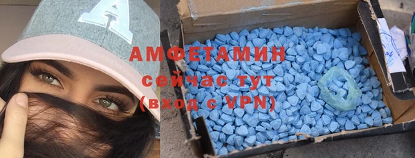 стаф Каменка