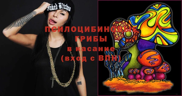 стаф Каменка