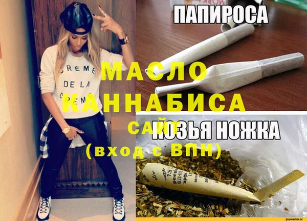 стаф Каменка