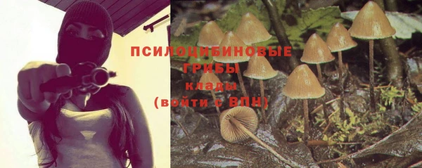 прущий лед Каменск-Шахтинский