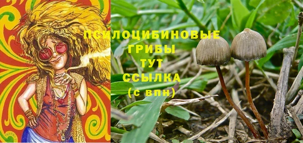 дурь Каменногорск