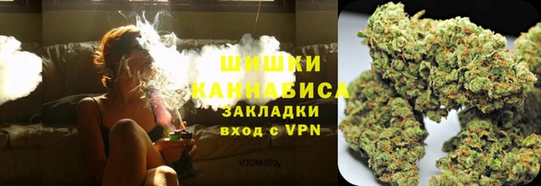 стаф Каменка