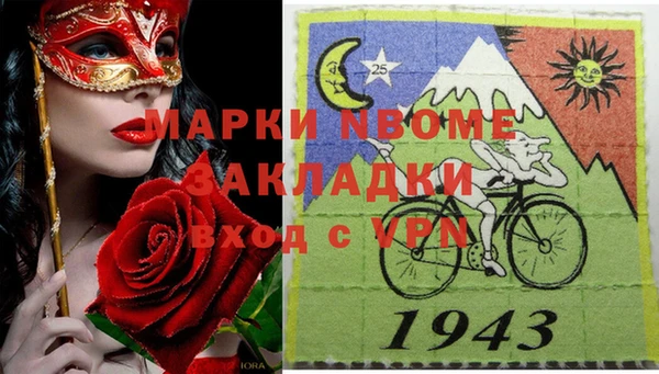 стаф Каменка