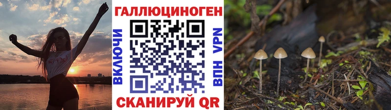 Купить закладки  Бобров  Псилоцибиновые грибы мухоморы 